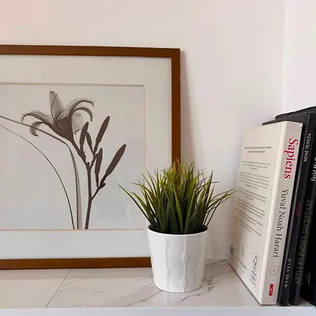 Bora Appartement Tirana